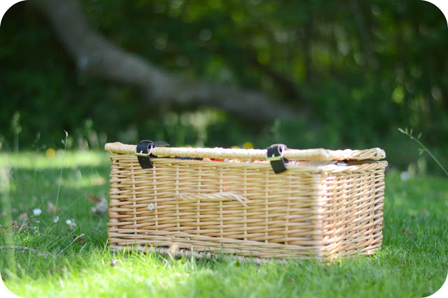 THE [NOT SO] LAZY DAYS OF SUMMER: PICNICS AND BUG HUNTS IN THE NEW FOREST