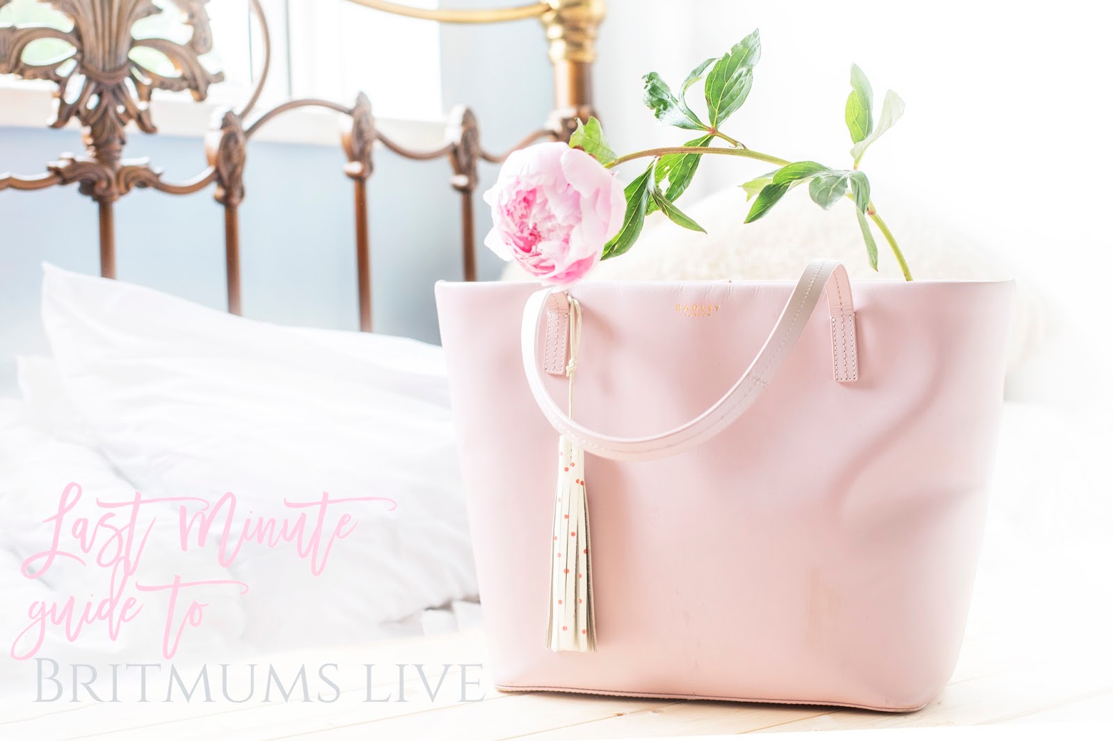 TEN STEPS: A LAST MINUTE GUIDE TO BRITMUMS LIVE