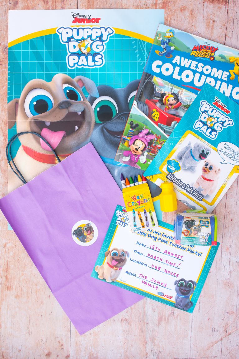 DISNEY JUNIOR PUPPY DOG PALS PARTY DAY IS COMING!