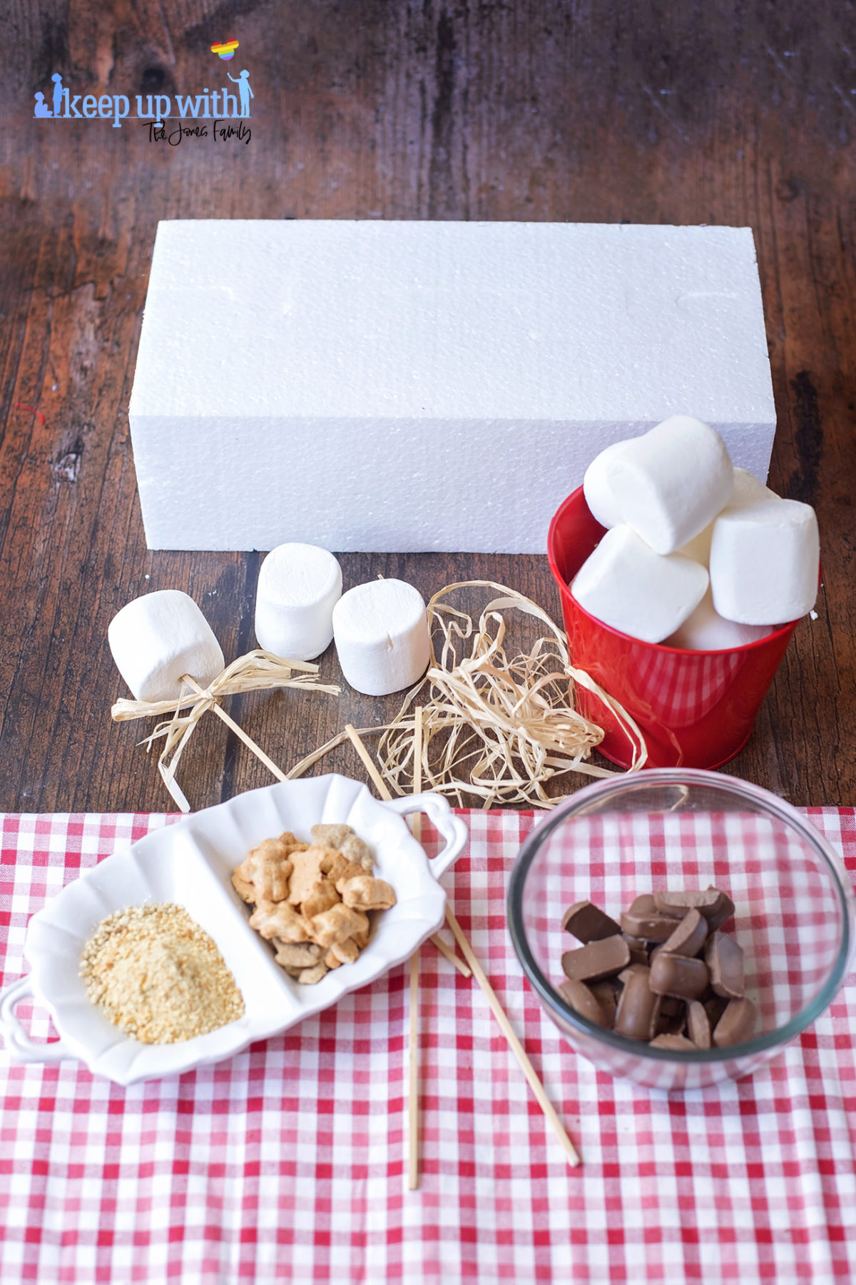 Image shows the ingredients for teddy bear s'more pops on a dark wooden tabletop. There are wooden sticks with raffia bows, marge marshmallows in a red bucket and on a checked red and white tablecloth there is a white scalloped dish containing cinnamon teddy grahams and crushed digestive biscuits. In the glass bowl there is dairy milk chocolate. Image by Keep Up With the Jones Family.