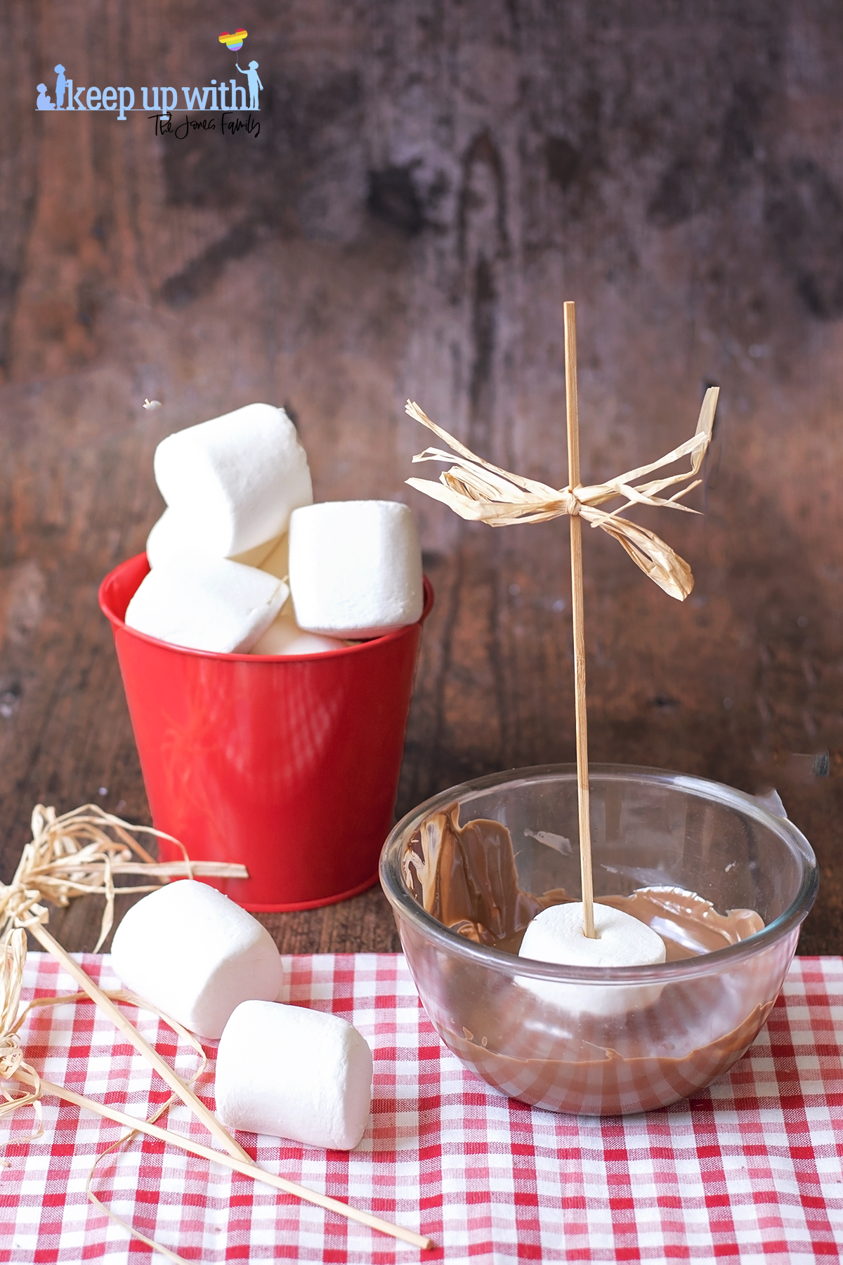 Image shows a dark wooden tabletop with a red tin bucket full with large marshmallows. In front of the bucket is a glass bowl filled with melted chocolate. Inside the bowl sits a large marshmallow on a stick being coated in chocolate to make Teddy Bear S'More Pops. Image by keep up with the jones family.
