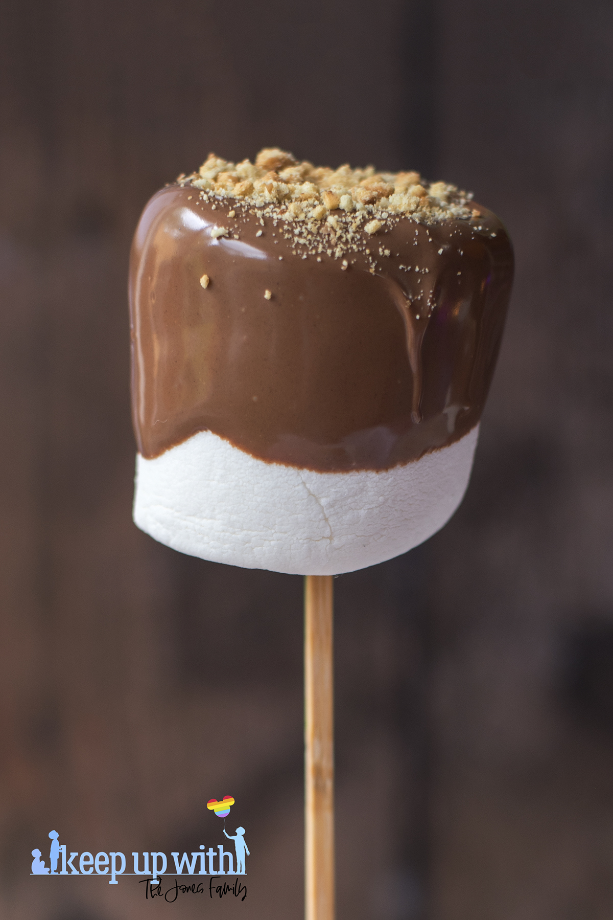 Image shows a large white marshmallow covered in melted milk chocolate and sprinkles with digestive biscuit crumbs. Image by keep up with the jones family.