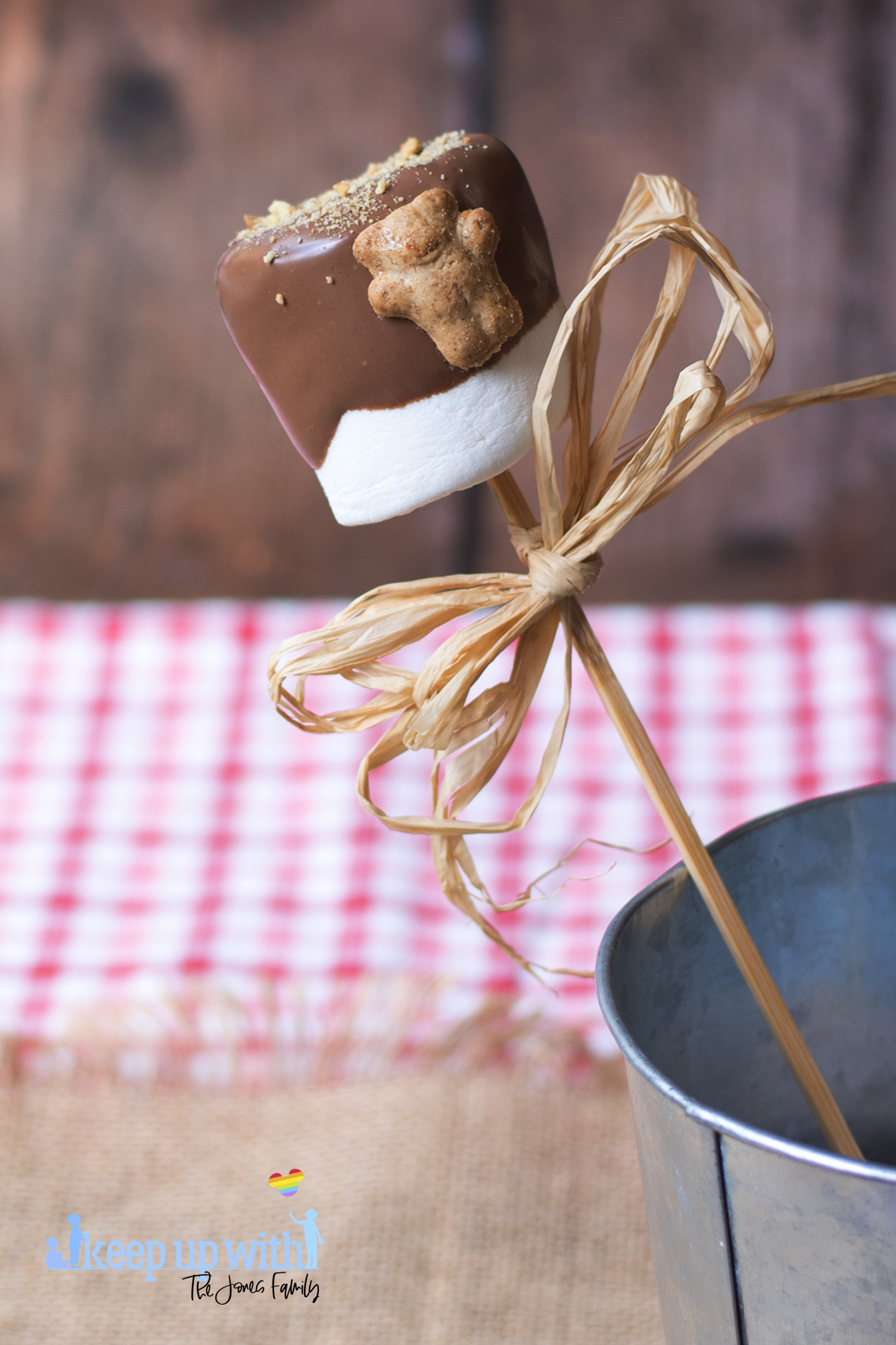 Image shows one teddy bear s'mores pop. Image by keep up with the jones family.
